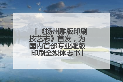 《扬州雕版印刷技艺志》首发，为国内首部专业雕版印刷全媒体志书