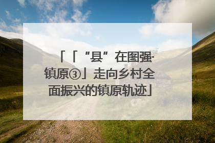 「“县”在图强·镇原③」走向乡村全面振兴的镇原轨迹