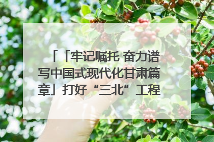 「牢记嘱托 奋力谱写中国式现代化甘肃篇章」打好“三北”工程攻坚战 筑牢国家西部生态安全屏障