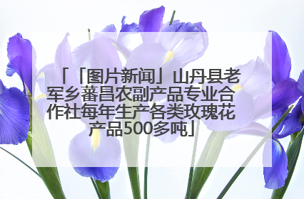 「图片新闻」山丹县老军乡蕃昌农副产品专业合作社每年生产各类玫瑰花产品500多吨