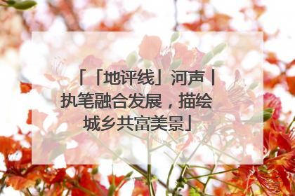 「地评线」河声丨执笔融合发展，描绘城乡共富美景