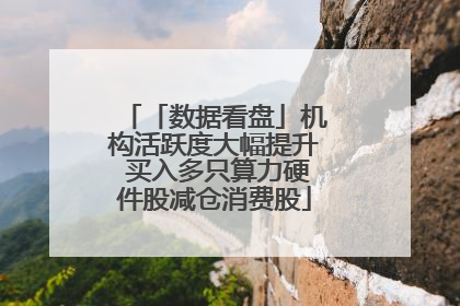 「数据看盘」机构活跃度大幅提升 买入多只算力硬件股减仓消费股