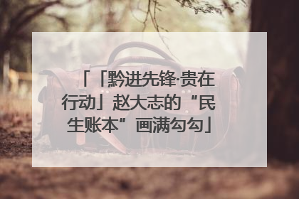 「黔进先锋·贵在行动」赵大志的“民生账本”画满勾勾