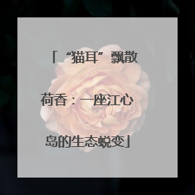 “猫耳”飘散荷香：一座江心岛的生态蜕变