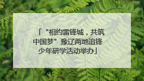 “相约雷锋城，共筑中国梦”豫辽两地追锋少年研学活动举办