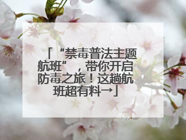 “禁毒普法主题航班”，带你开启防毒之旅！这趟航班超有料→