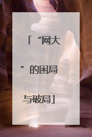 “网大”的困局与破局