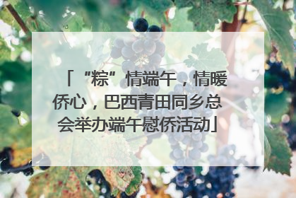 “粽”情端午，情暖侨心，巴西青田同乡总会举办端午慰侨活动