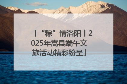 “粽”情洛阳丨2025年嵩县端午文旅活动精彩纷呈