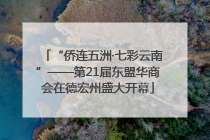 “侨连五洲·七彩云南”——第21届东盟华商会在德宏州盛大开幕