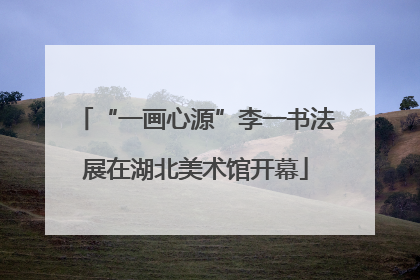 “一画心源”李一书法展在湖北美术馆开幕