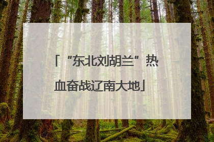 “东北刘胡兰”热血奋战辽南大地