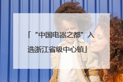 “中国电器之都”入选浙江省级中心镇