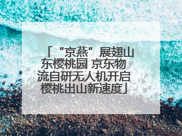 “京燕”展翅山东樱桃园 京东物流自研无人机开启樱桃出山新速度