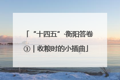 “十四五”·衡阳答卷③｜收粮时的小插曲