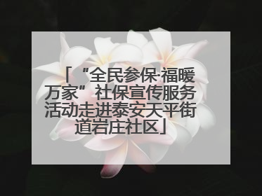 “全民参保·福暖万家”社保宣传服务活动走进泰安天平街道岩庄社区