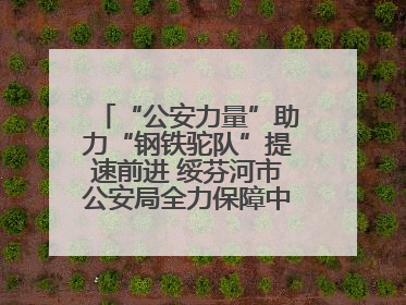 “公安力量”助力“钢铁驼队”提速前进 绥芬河市公安局全力保障中欧班列“东通道”绥芬河隧道贯通