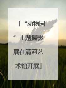 “动物园”主题摄影展在清河艺术馆开展