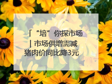 “培”你探市场｜市场供增需减 猪肉价同比降3元 未来40天便宜猪肉敞开吃