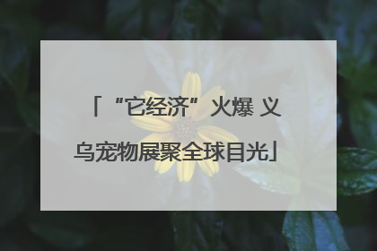 “它经济”火爆 义乌宠物展聚全球目光