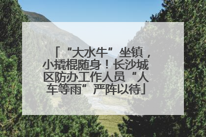 “大水牛”坐镇，小撬棍随身！长沙城区防办工作人员“人车等雨”严阵以待
