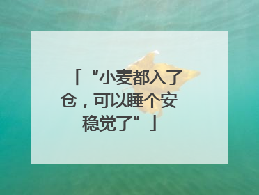 “小麦都入了仓，可以睡个安稳觉了”
