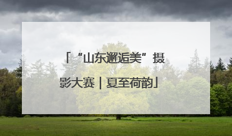 “山东邂逅美”摄影大赛｜夏至荷韵