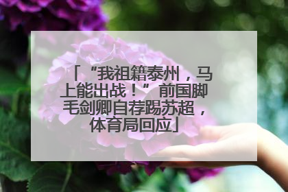 “我祖籍泰州，马上能出战！”前国脚毛剑卿自荐踢苏超，体育局回应