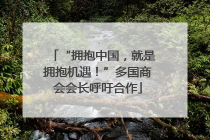 “拥抱中国，就是拥抱机遇！”多国商会会长呼吁合作