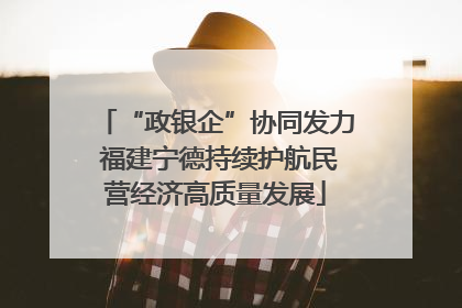 “政银企”协同发力 福建宁德持续护航民营经济高质量发展