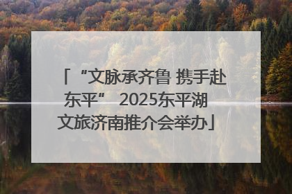 “文脉承齐鲁 携手赴东平” 2025东平湖文旅济南推介会举办