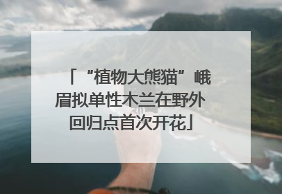 “植物大熊猫”峨眉拟单性木兰在野外回归点首次开花
