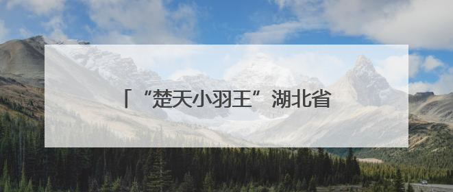 “楚天小羽王”湖北省羽毛球青少年俱乐部联赛新锐组比赛圆满落幕