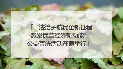 “法治护航民企新征程·激发民营经济新动能”公益普法活动在昆举行