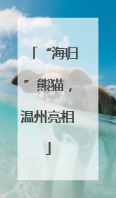 “海归”熊猫，温州亮相
