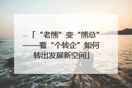 “老熊”变“熊总”——看“个转企”如何转出发展新空间