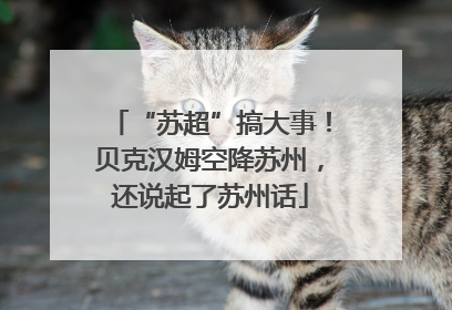 “苏超”搞大事！贝克汉姆空降苏州，还说起了苏州话
