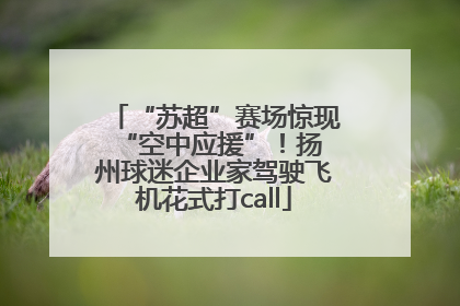 “苏超”赛场惊现 “空中应援”！扬州球迷企业家驾驶飞机花式打call
