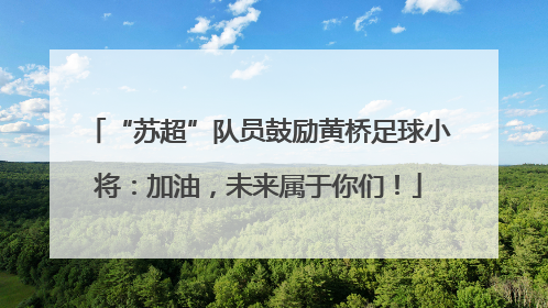 “苏超”队员鼓励黄桥足球小将：加油，未来属于你们！