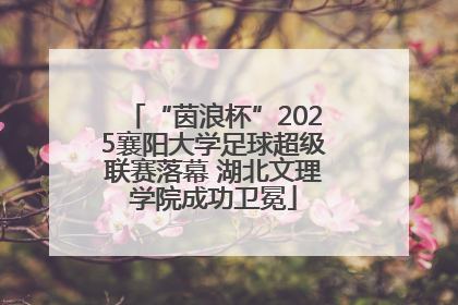 “茵浪杯”2025襄阳大学足球超级联赛落幕 湖北文理学院成功卫冕