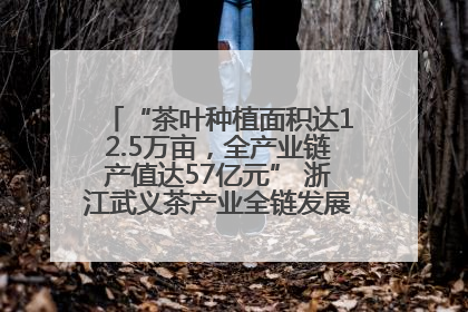“茶叶种植面积达12.5万亩，全产业链产值达57亿元” 浙江武义茶产业全链发展“加速度”