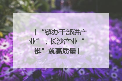 “链办干部讲产业”，长沙产业“链”就高质量