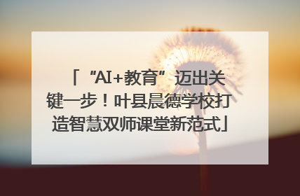 “AI+教育”迈出关键一步！叶县晨德学校打造智慧双师课堂新范式