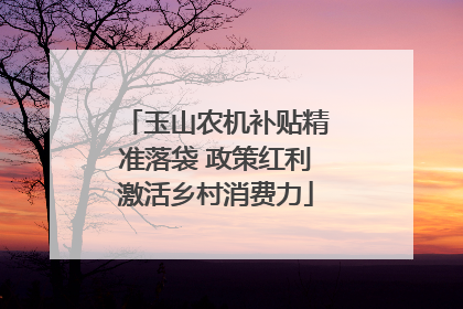 玉山农机补贴精准落袋 政策红利激活乡村消费力