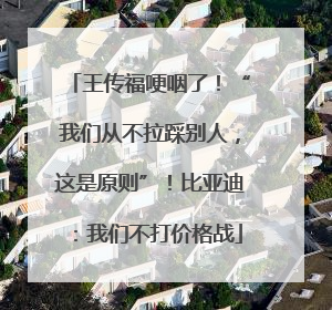 王传福哽咽了！“我们从不拉踩别人，这是原则”！比亚迪：我们不打价格战