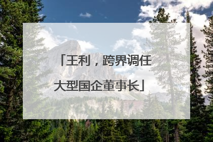 王利，跨界调任大型国企董事长