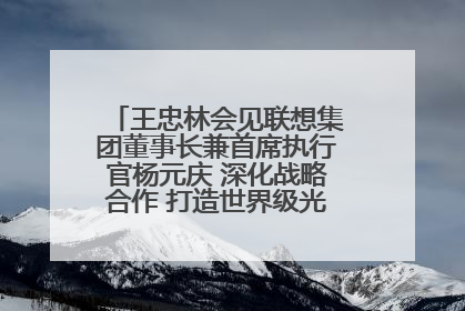 王忠林会见联想集团董事长兼首席执行官杨元庆 深化战略合作 打造世界级光电子信息产业集群