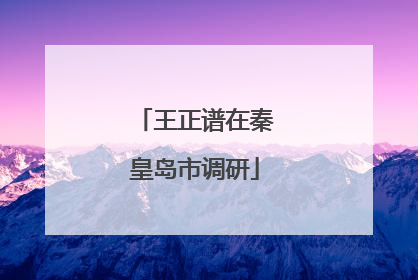 王正谱在秦皇岛市调研