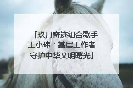 玖月奇迹组合歌手王小玮：基层工作者守护中华文明曙光