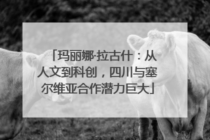 玛丽娜·拉古什：从人文到科创，四川与塞尔维亚合作潜力巨大